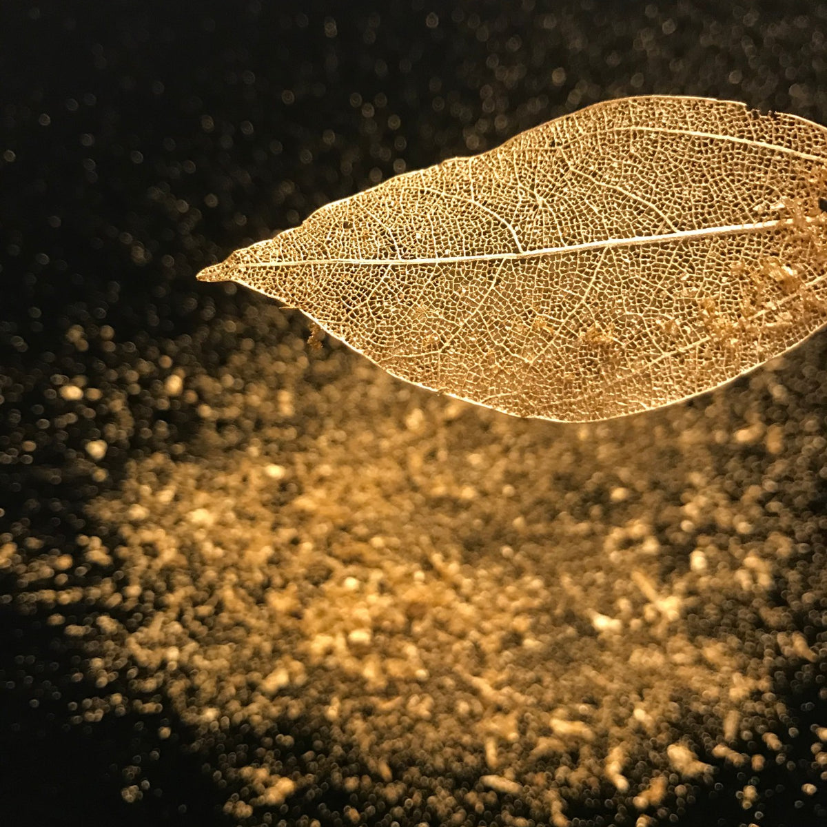 GOLDREAM / The GOLDLEAF Bookmark